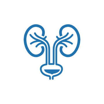 أورام المسالك البولية