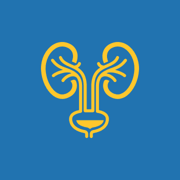 أورام المسالك البولية