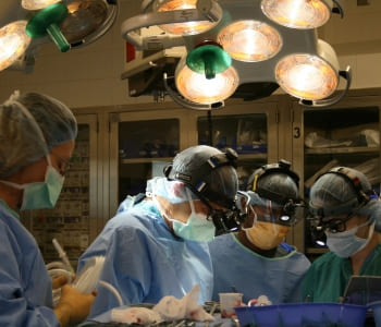 برنامج التصلب الحدبي المعقد