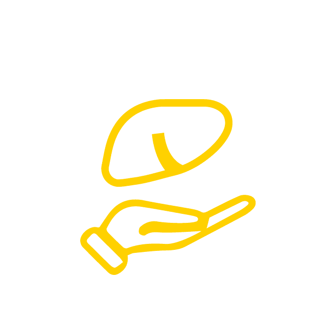 زراعة االكبد