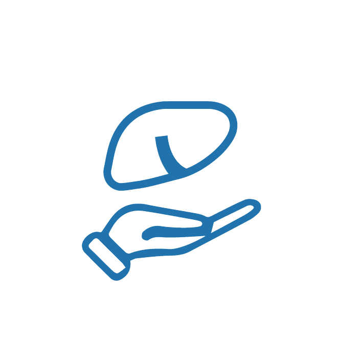 زراعة االكبد